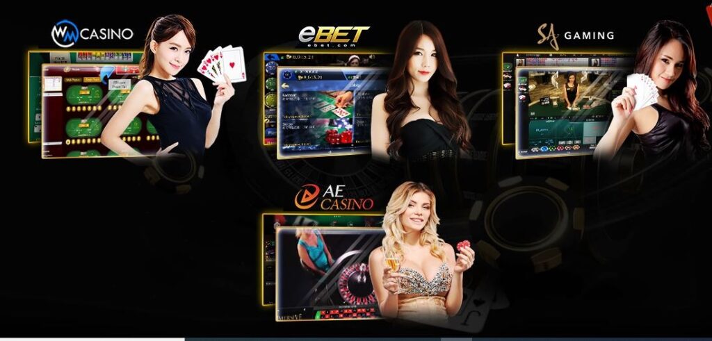 4 đối tác Casino của Typhu88