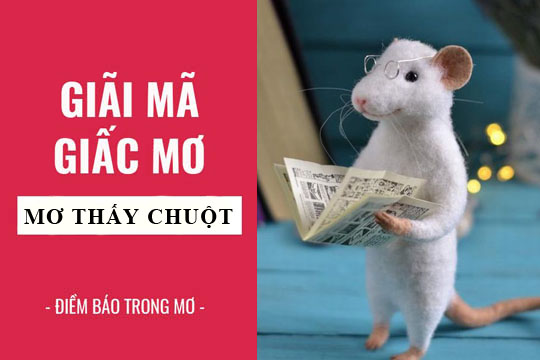 Chiêm bao thấy chuột con chuột số mấy